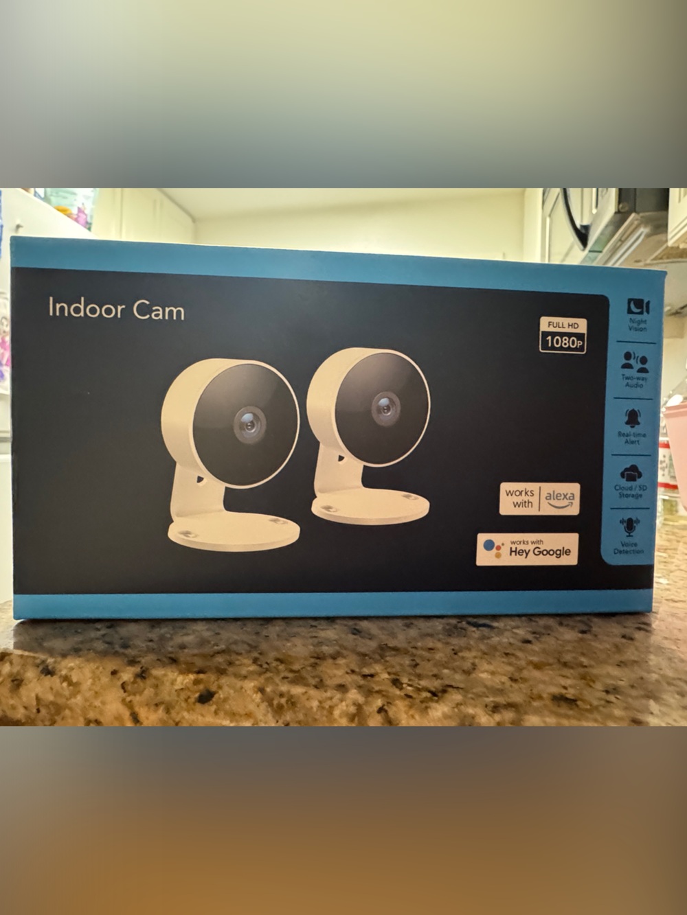 Indoor Cam Twin Pack - White Cameras